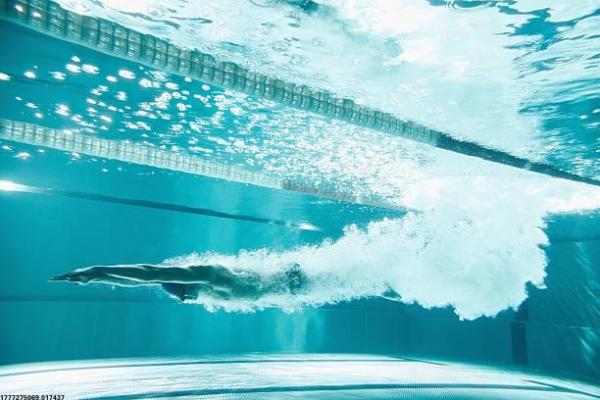 模范中学体育项目招标流程介绍